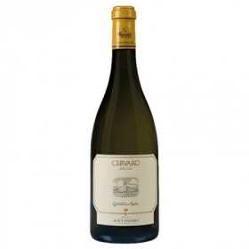 Vin ANTINORI Castello Della Sala CERVARO Della Salla Chardonnay Ed LimUmbria IGT Italia - ST0.75L
